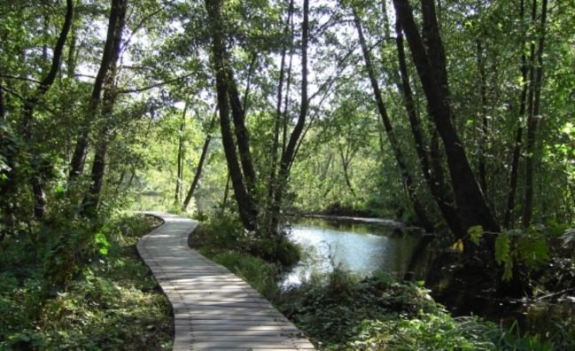 Fairytale Forest: Hike through the mystical landscape of Briesetal