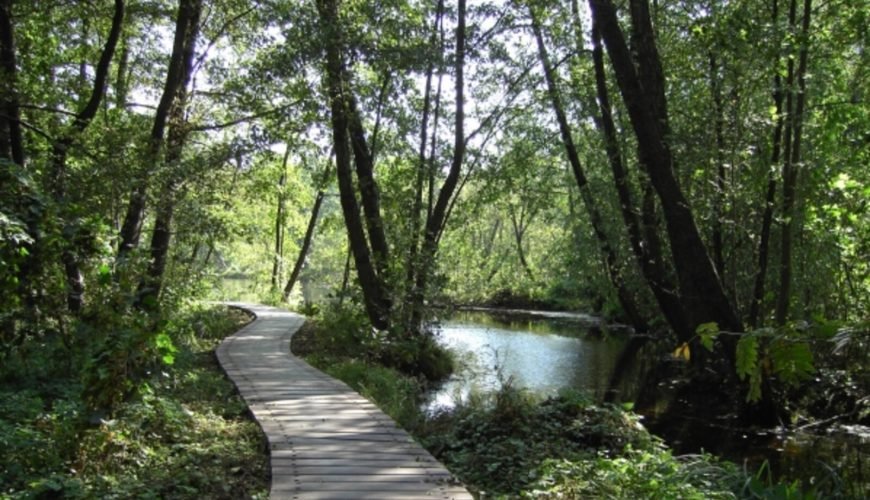 Fairytale Forest: Hike through the mystical landscape of Briesetal
