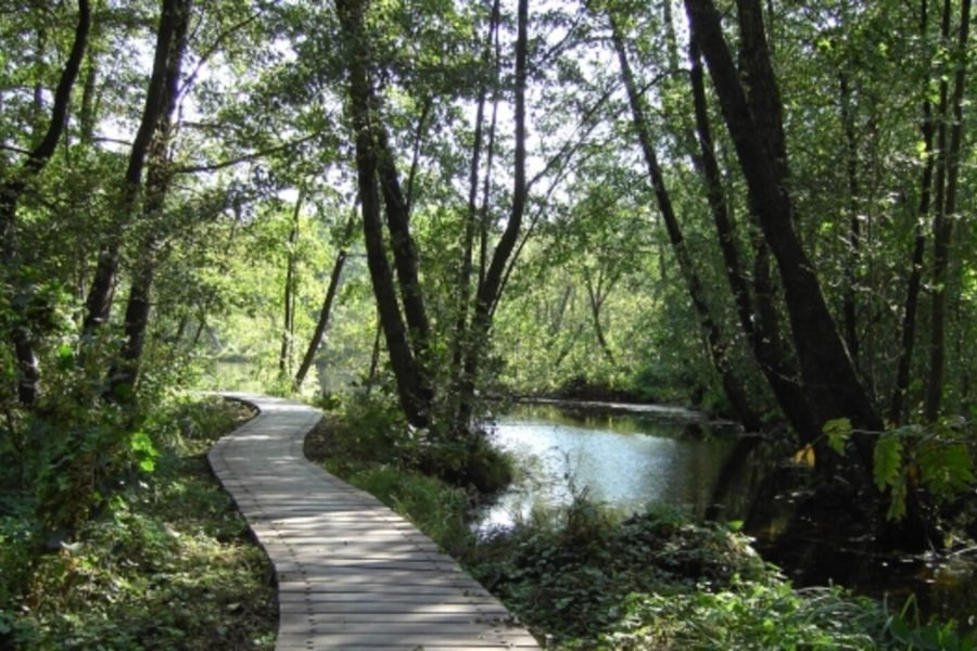 Fairytale Forest: Hike through the mystical landscape of Briesetal