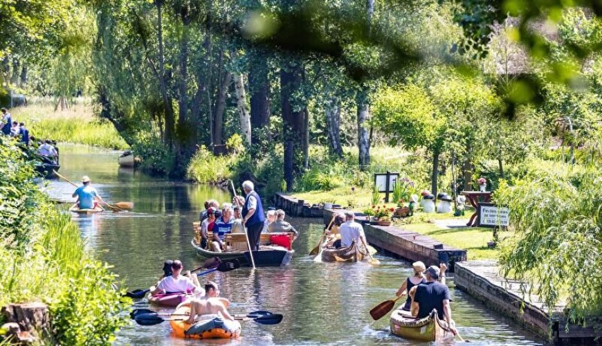 Spreewald Canoe Tour: Discover the UNESCO biosphere reserve on water