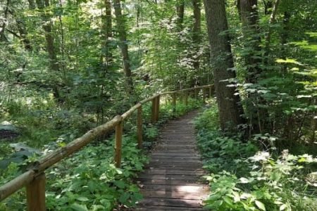 Biesenthaler Becken: Easy Hike through Glacial Lands Carved in Ice Age