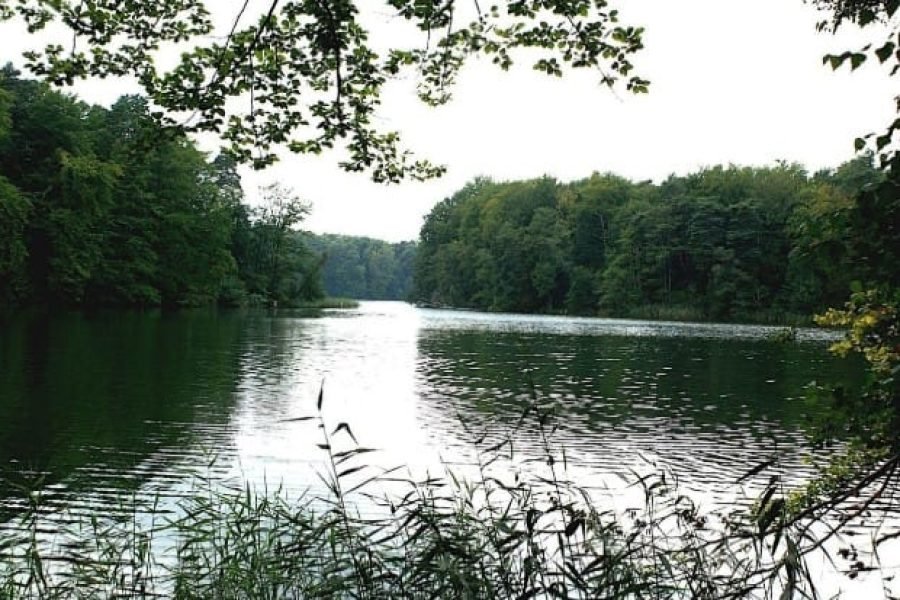 Biesenthaler Becken: Easy Hike through Glacial Lands Carved in Ice Age