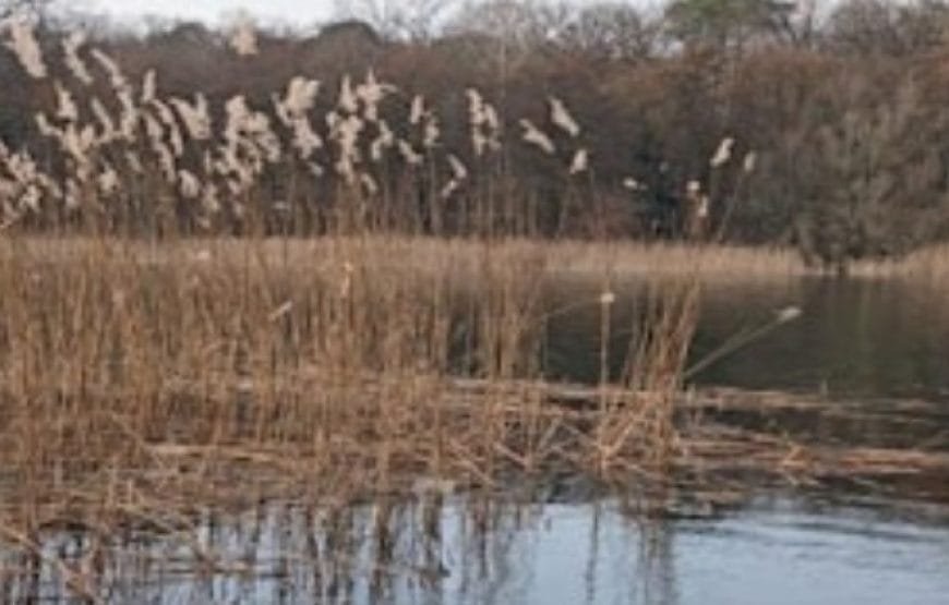 Quick-Sketch Nature Walk along Grunewaldsee