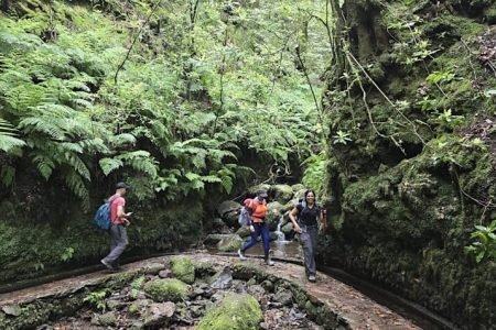 Hike & Discover Madeira – 5 Days of Peaks, Poncha & Pure Magic