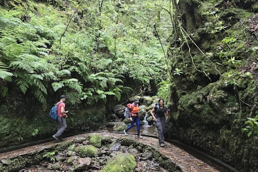 Hike & Discover Madeira – 5 Days of Peaks, Poncha & Pure Magic