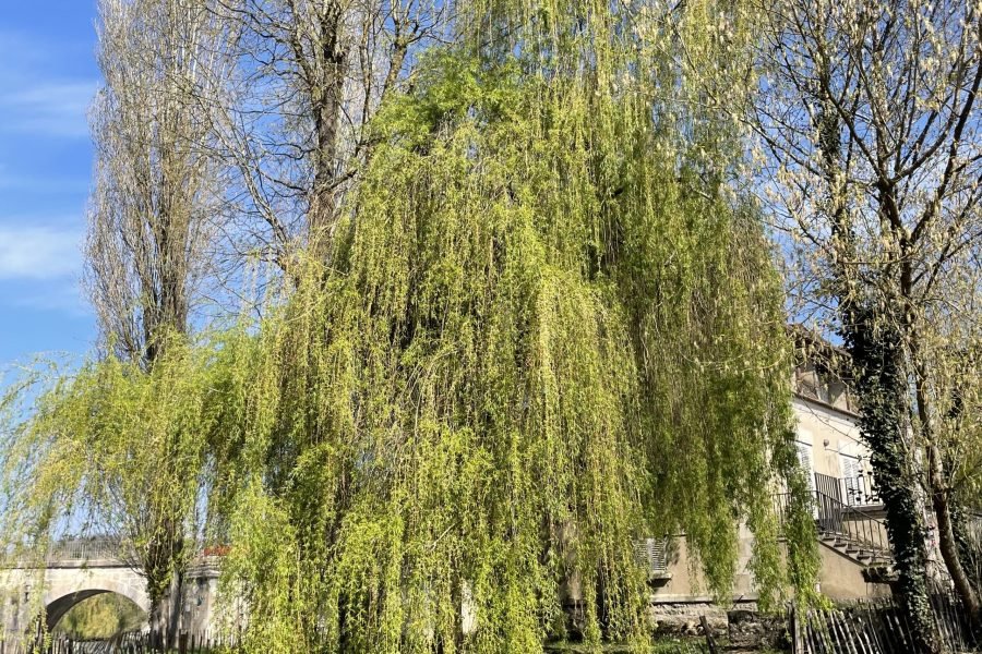 Fairytale Hike to Moret-sur-Loing: Paris’ Hidden Medieval Gem