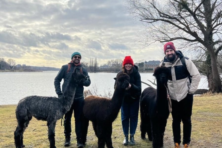 Potsdam Alpaca Hike: Historic Parks, Palaces and Lakeside Brewery