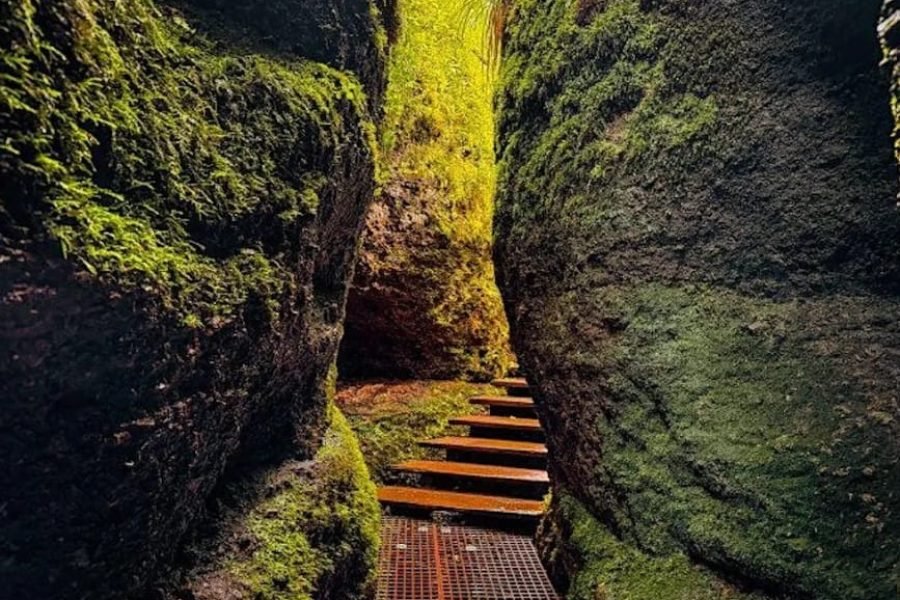 Dragon’s Gorge: Wartburg Hike: Thuringia Day Trip from Berlin