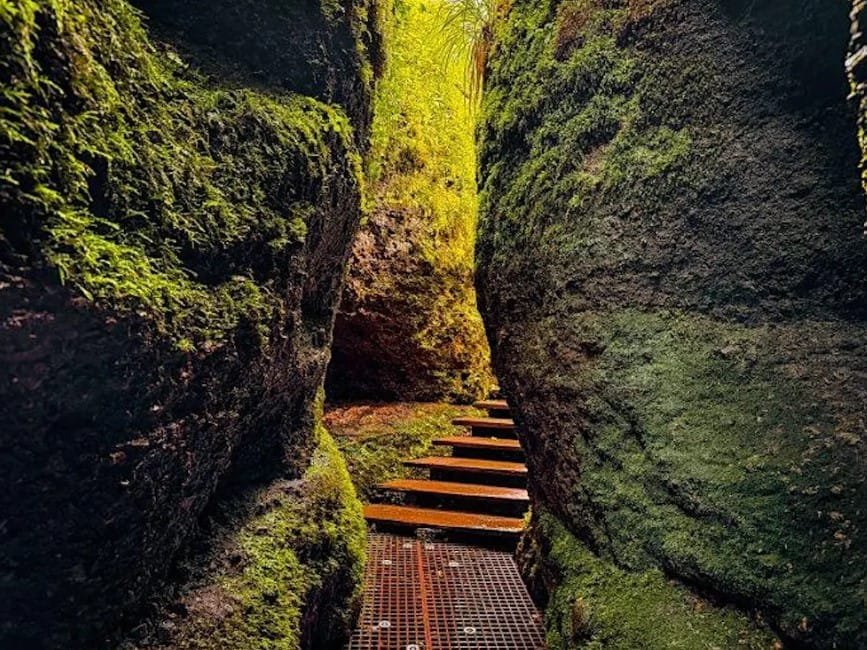 Dragon’s Gorge: Wartburg Hike: Thuringia Day Trip from Berlin