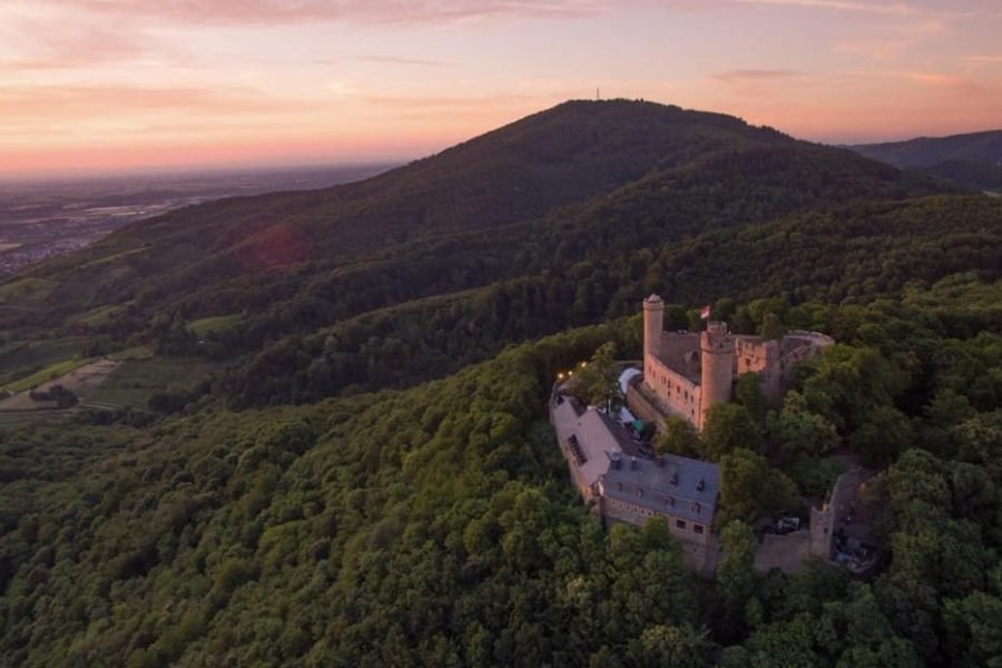 Alsbach Castle & Forest Hiking Adventure
