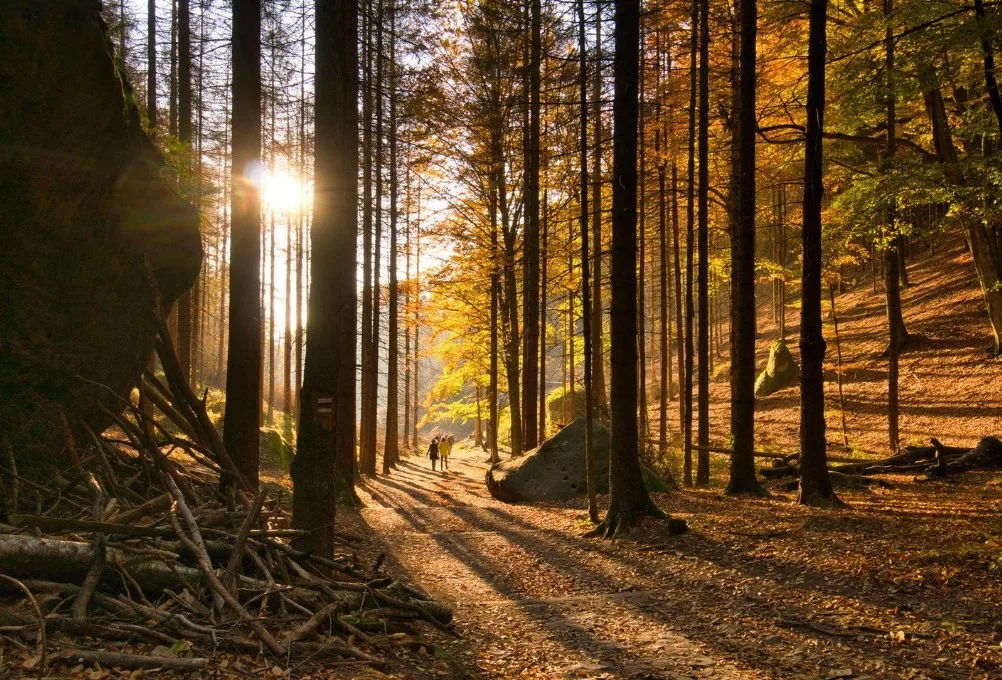 Bohemian Switzerland Autumn Escape: Jetřichovice Views, Forest Trails & Czech Wilderness