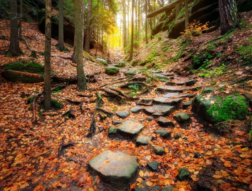 Bohemian Switzerland Autumn Escape: Jetřichovice Views, Forest Trails & Czech Wilderness
