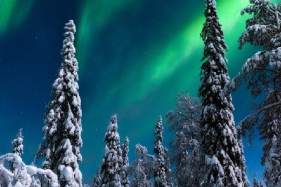 Christmas Under the Northern Lights: Finland to Norway Arctic Aurora Roadtrip
