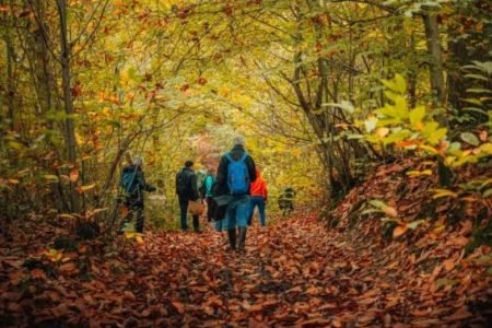 Forest Escape from Paris-Maisons Laffitte & Saint-Germain-En-Laye