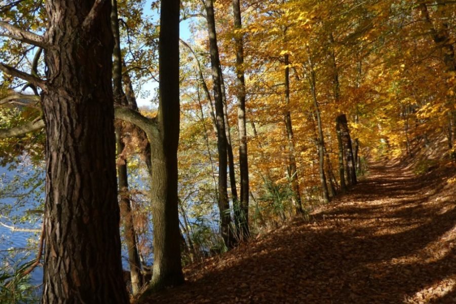 Schlaubetal Wild South: The Ultimate Autumn Hiking Adventure